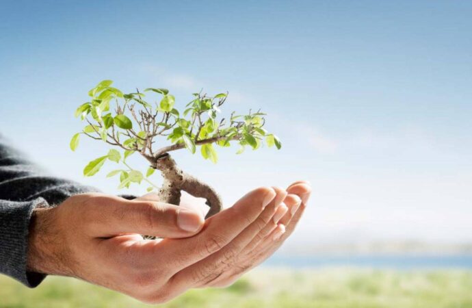 ISO-14001-Certified-wisconsin wi ISO-14001-Certified-wisconsin wi